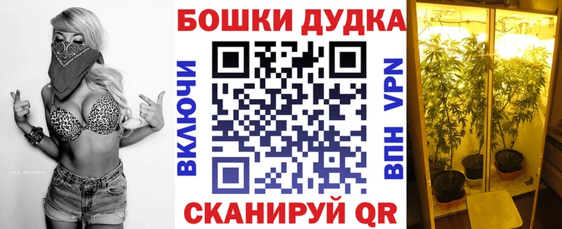Где купить Ахтубинск Alpha-PVP ГАШ Канабис Псилоцибиновые грибы Кокаин