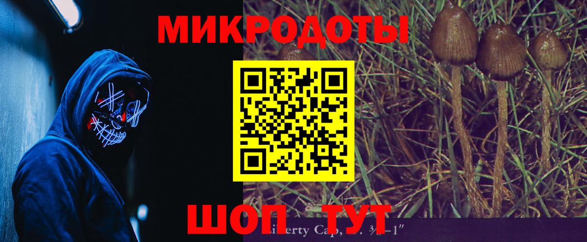 Ахтубинск  Галлюциногенные грибы Psilocybe  Вход с VPN 
