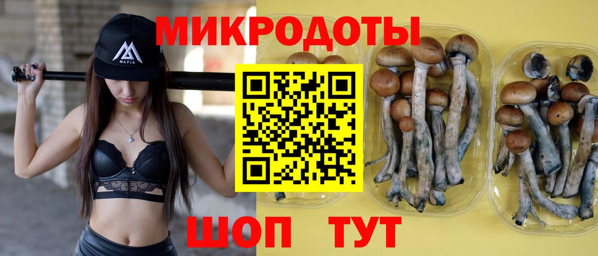 Псилоцибиновые грибы мицелий Ахтубинск