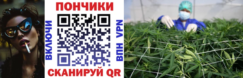 Канабис ГИДРОПОН это какой сайт Ахтубинск